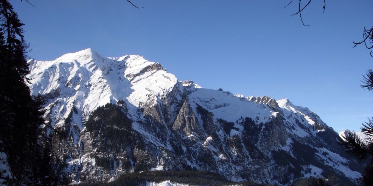 Nikolai Sopko banner