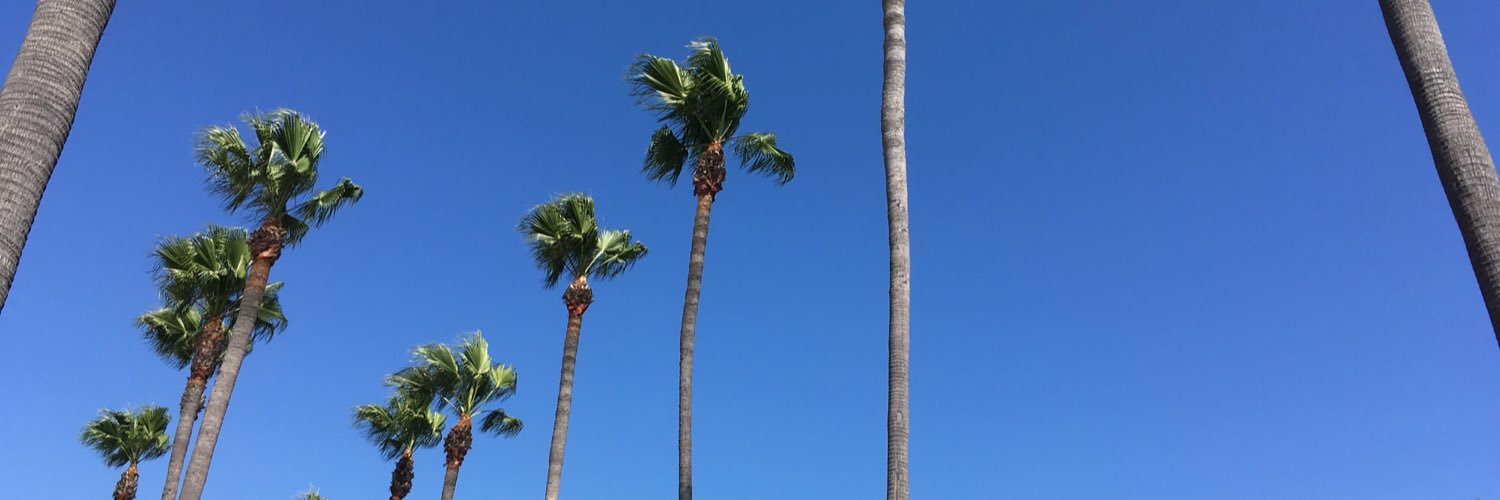 ohbeern's profile banner image