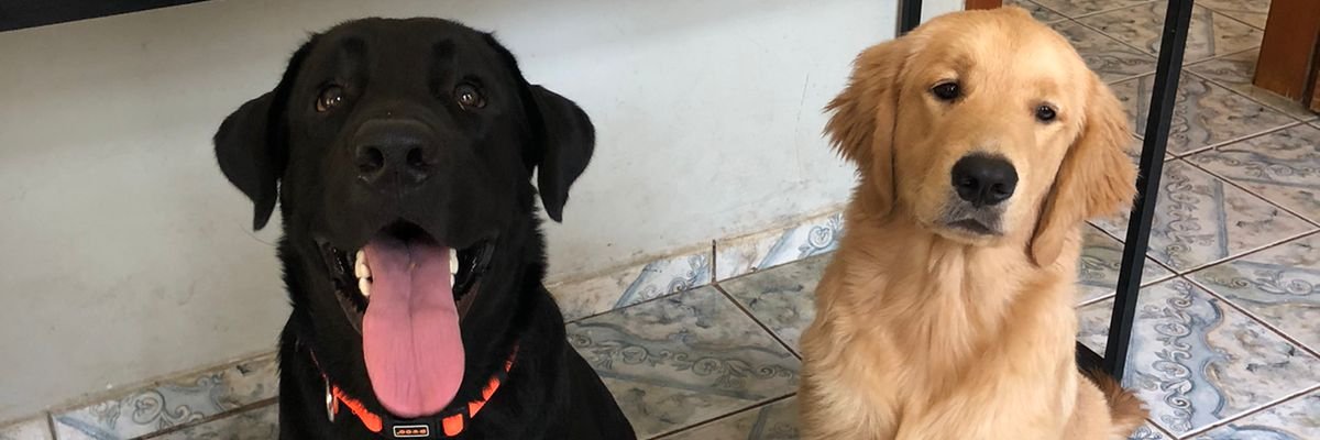 uegoess's profile banner image