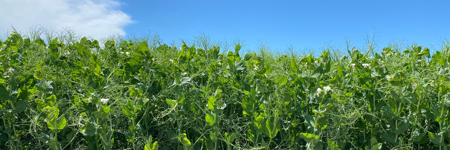 SeedNet Inc.'s banner