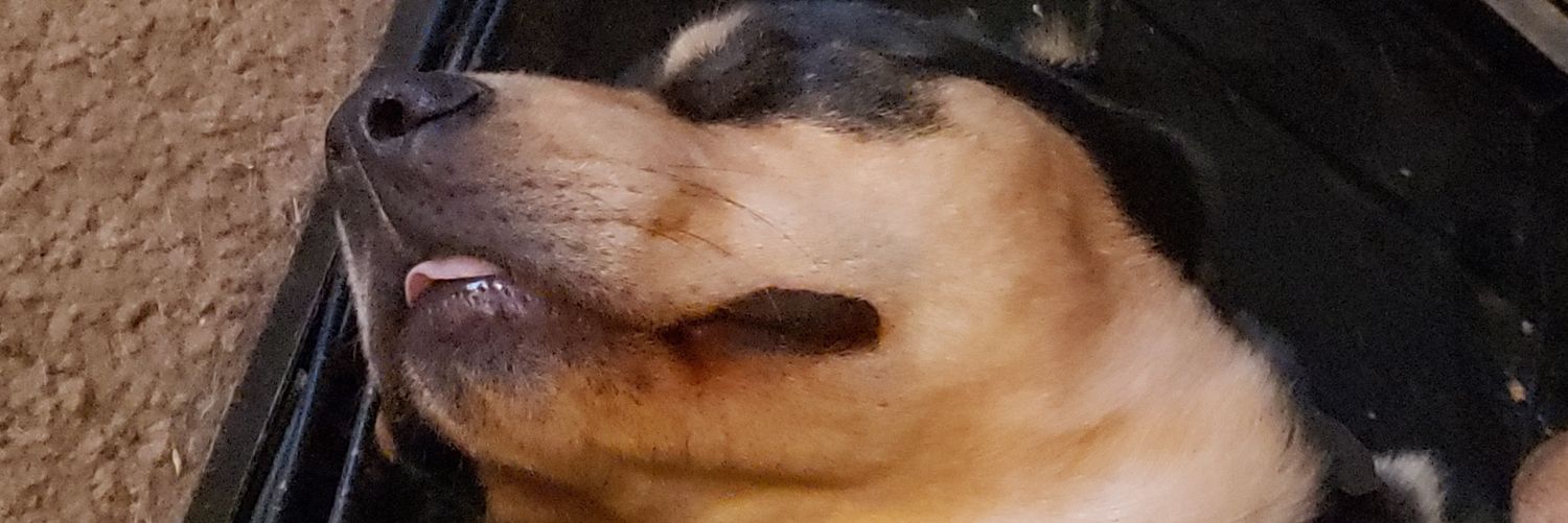 TheKing_C_C's profile banner image