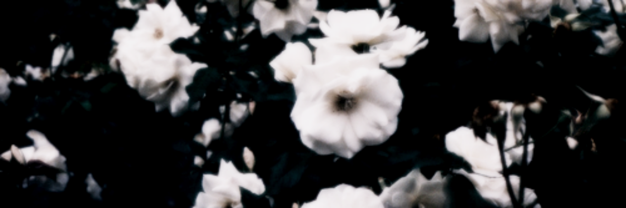 baek_92's profile banner image