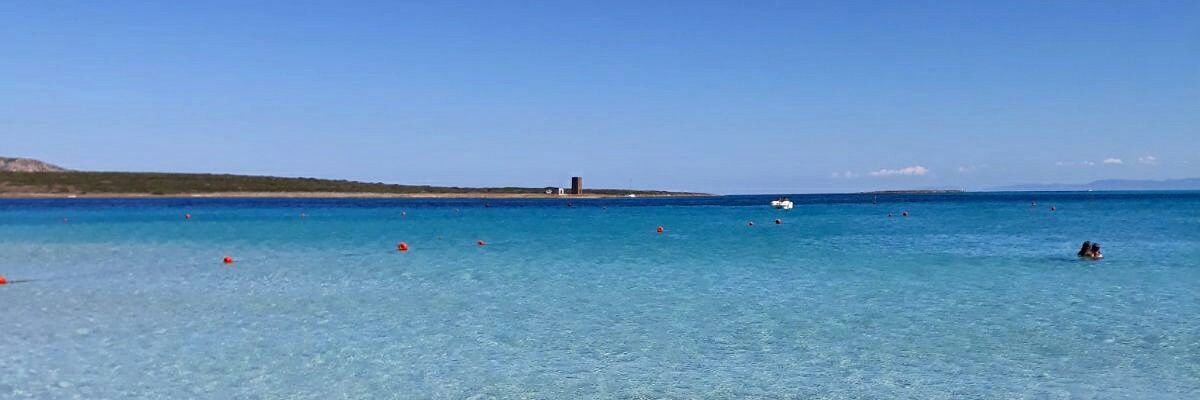 AgneBea71's profile banner image