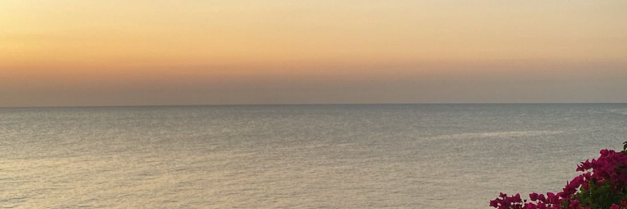sarahfitzxo's profile banner image