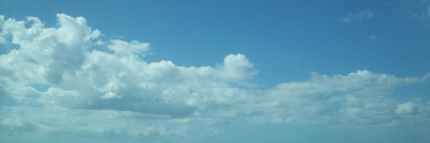 misscapitano's profile banner image