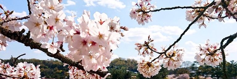 grayblue74's profile banner image