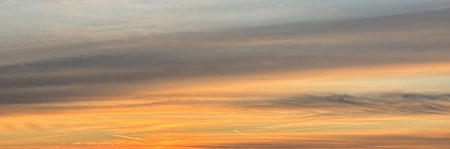 shei ♡ banner
