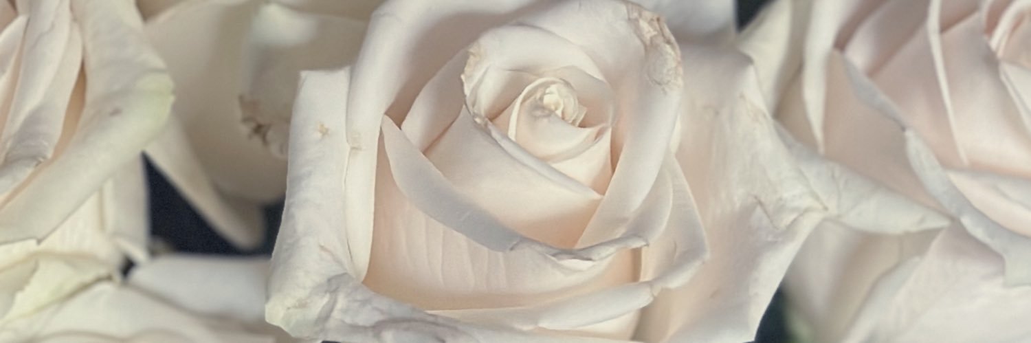 𝚌𝚑𝚎𝚕𝚜 ♡ banner