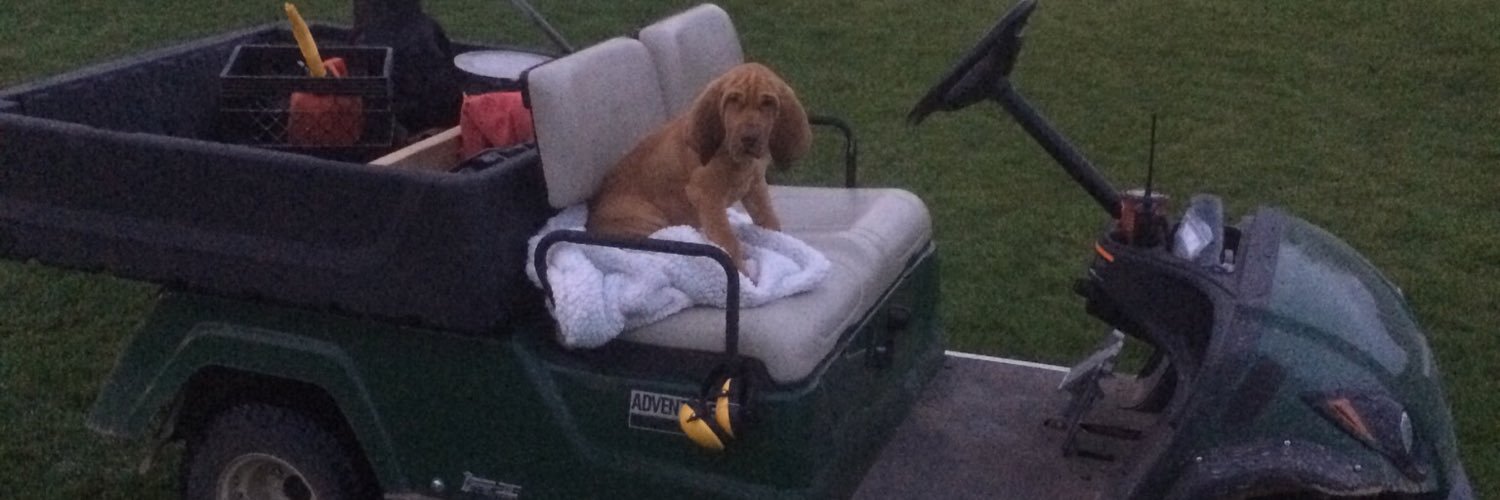 Matt Choquette banner