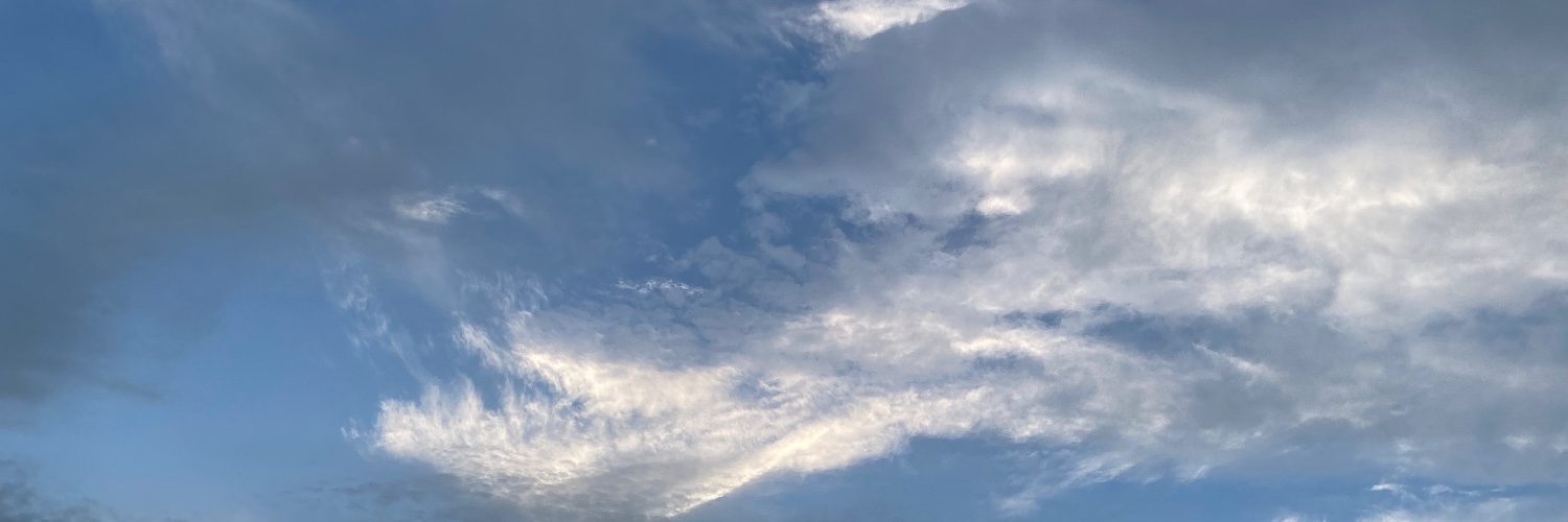 merumochann's profile banner image