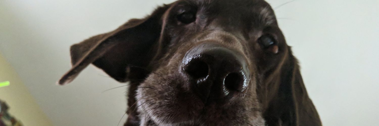 Kcornett83's profile banner image