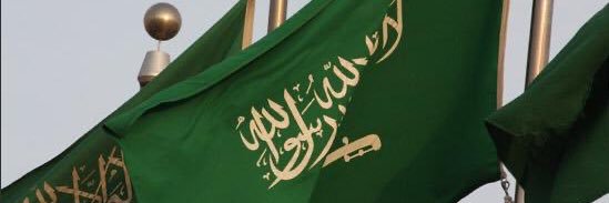 ســــلـــــــــطــان🇸🇦🦁 banner