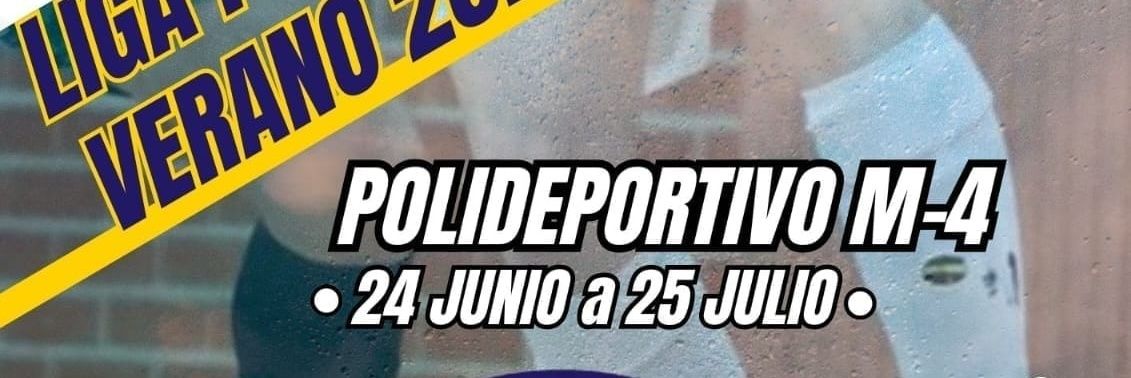 Liga Verano Futsal banner