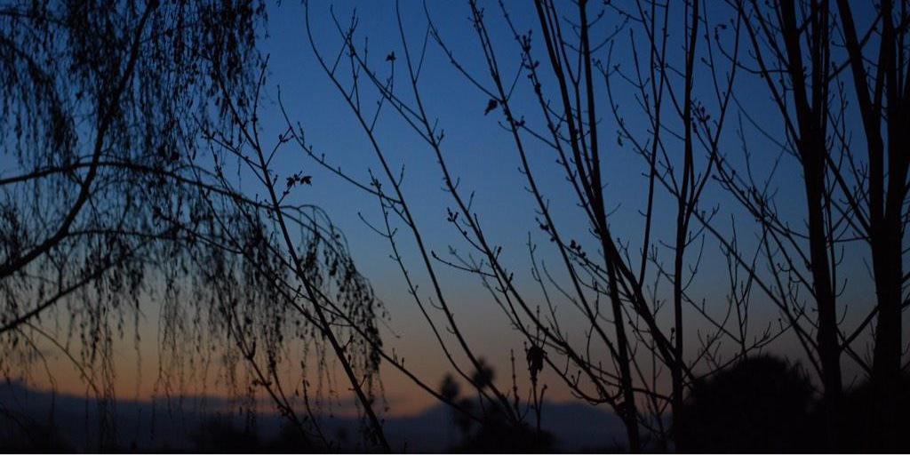 futurefo's profile banner image