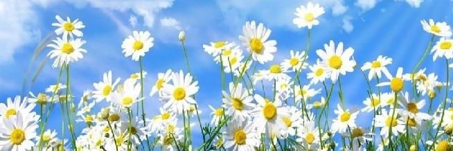 Florma_za's profile banner image
