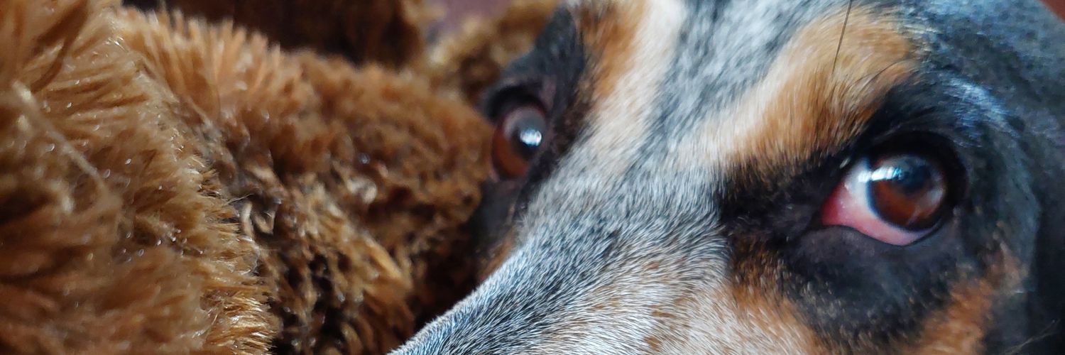 heiner0t's profile banner image