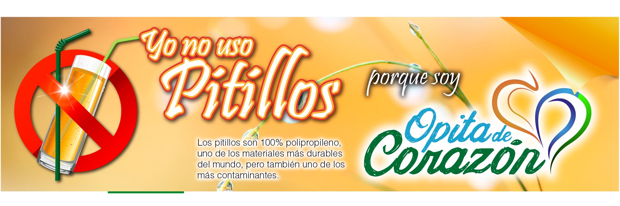 PROYECTOCEIBAS's profile banner image