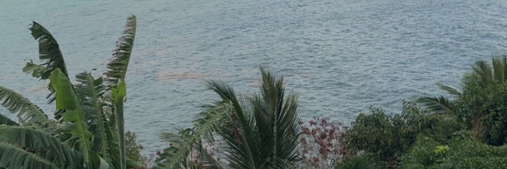 _shaniceex's profile banner image