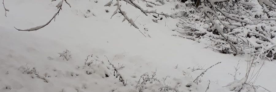 frkn53fb's profile banner image
