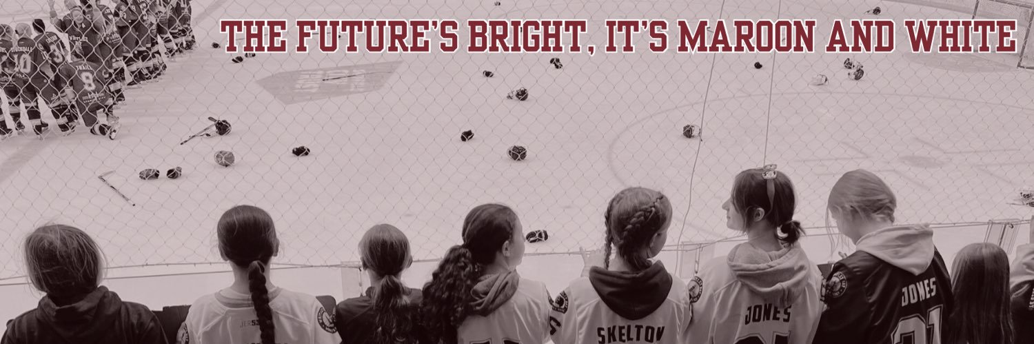 Whitley Bay Women’s Ice Hockey banner