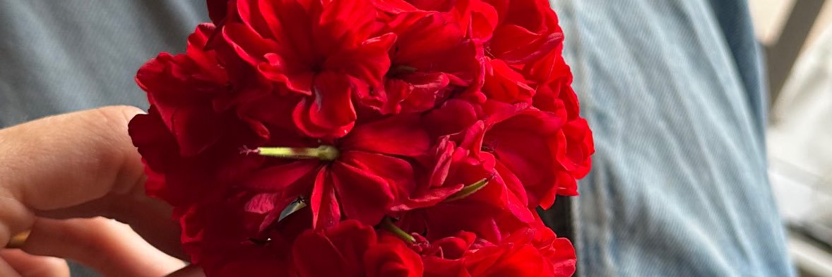 azulkobi's profile banner image