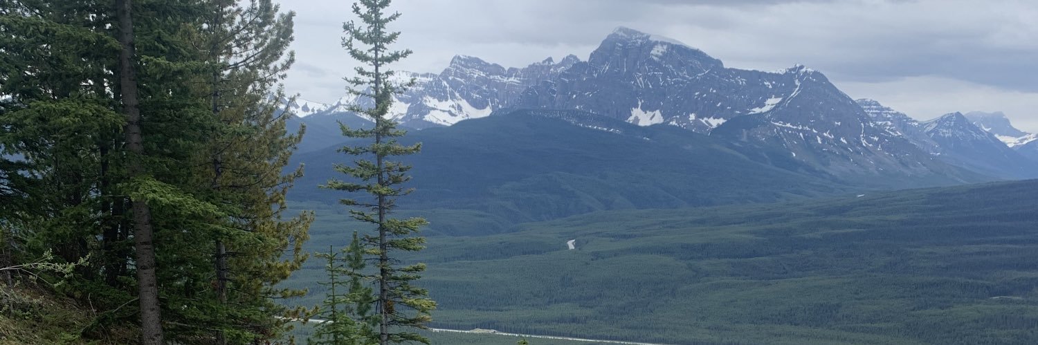 Rylee Gluska banner