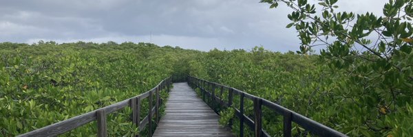 MacalaTorres Profile Banner