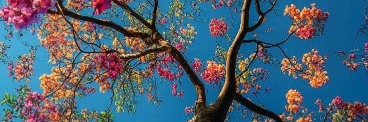 MacalaTorres's profile banner image