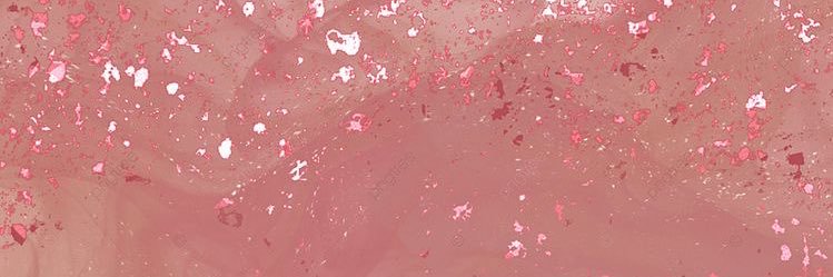 SissiSpinelli's profile banner image
