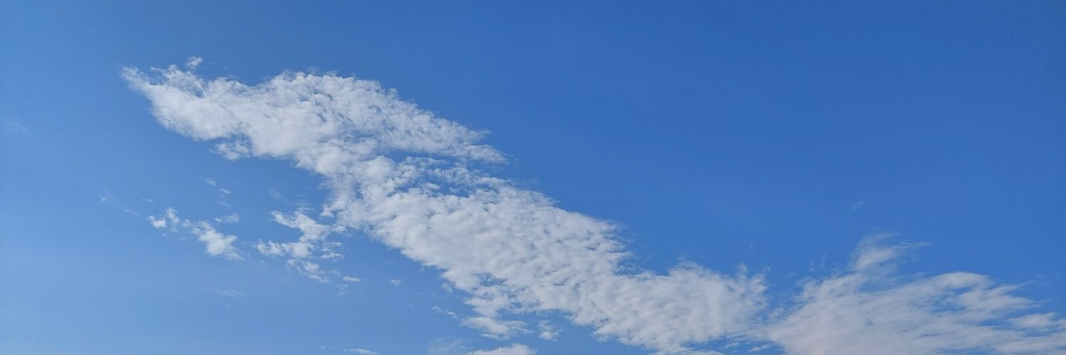 abilityisland's profile banner image