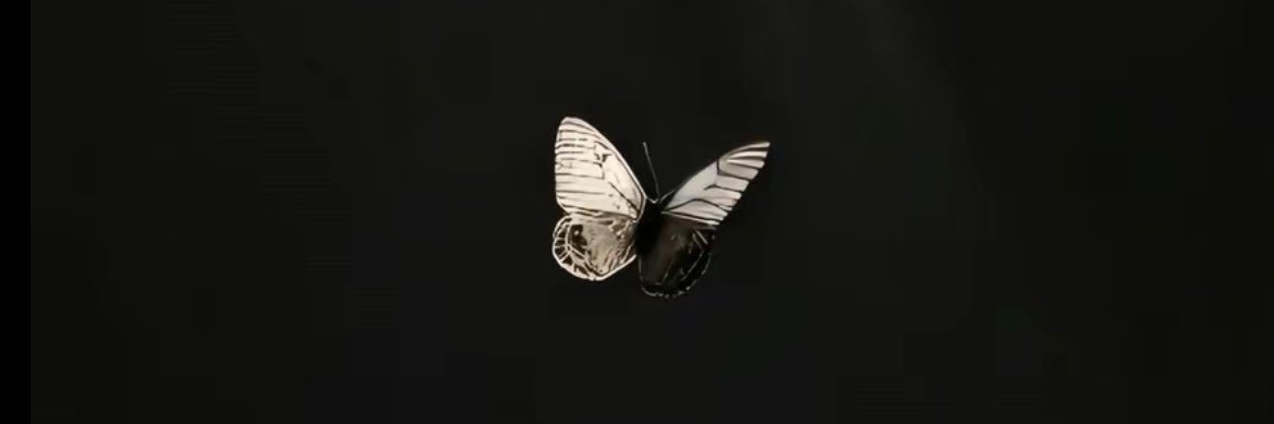 NiallsFlicker93's profile banner image