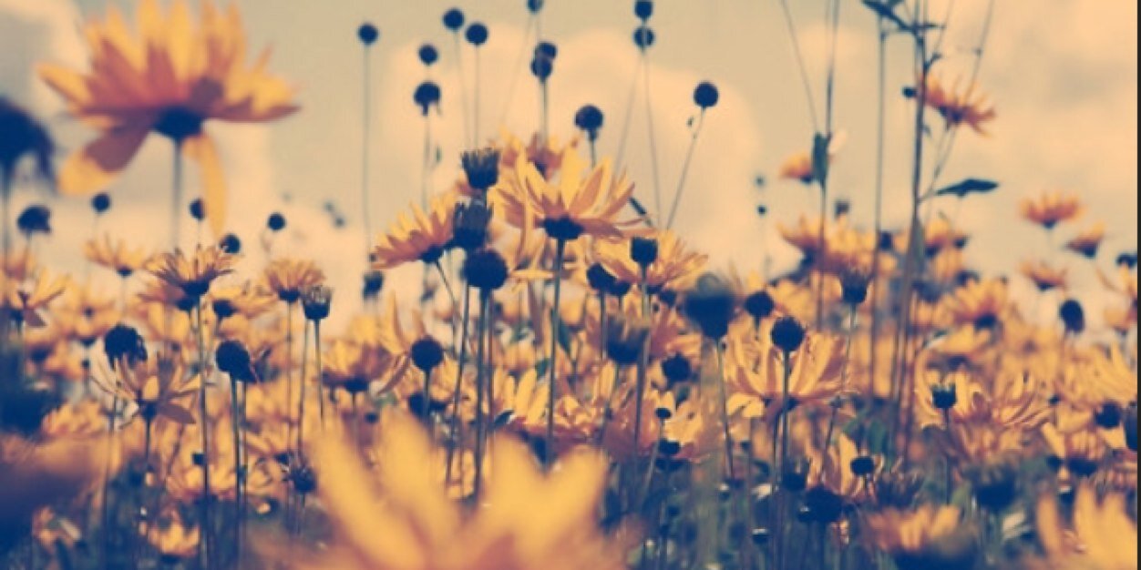 Lovelyboho's profile banner image