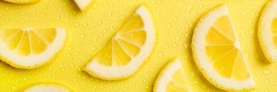 trans women are women ✨ banner