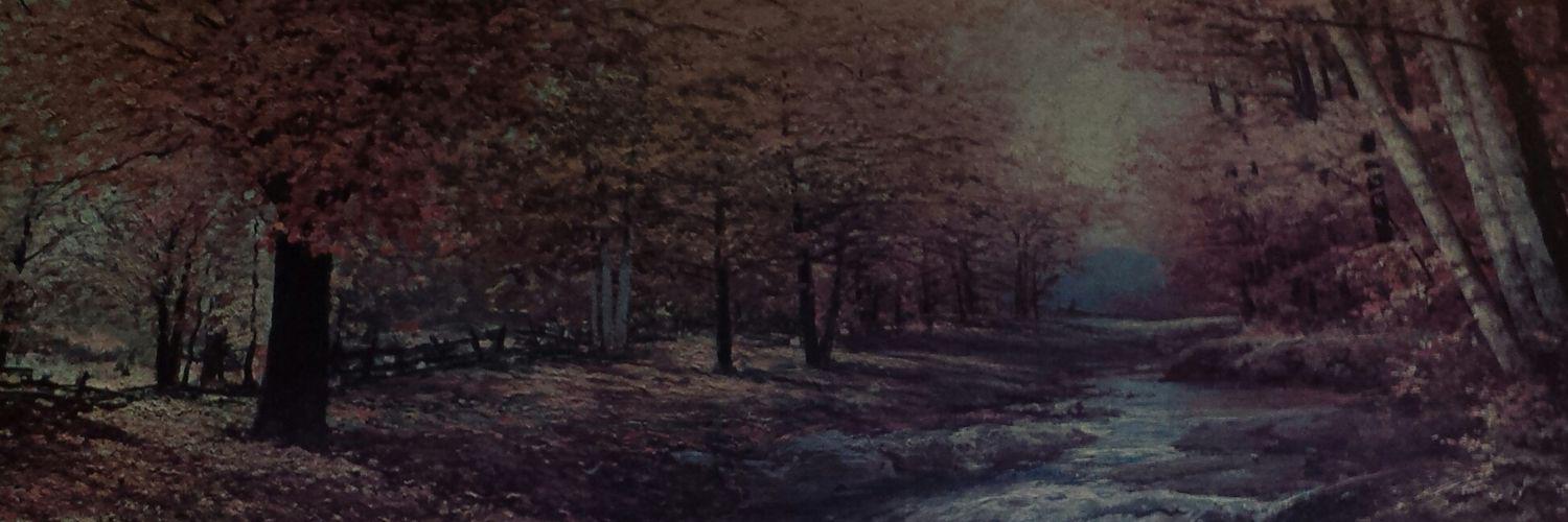 zimmiri's profile banner image