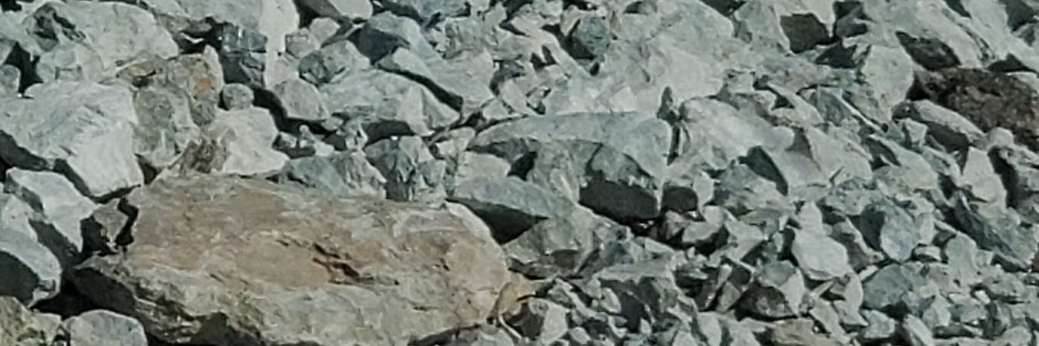 randyb677's profile banner image