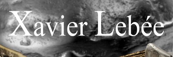 xavierlebee Profile Banner