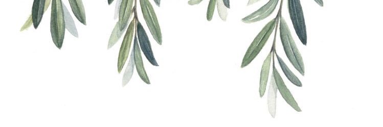maranedanavarro's profile banner image