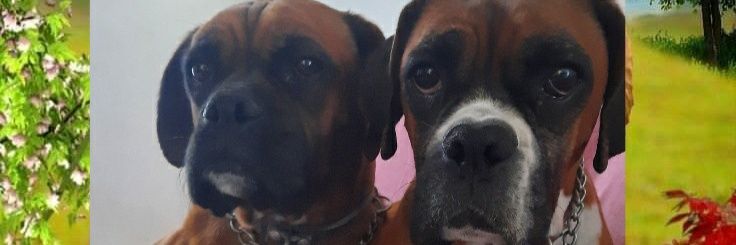 ect141151's profile banner image