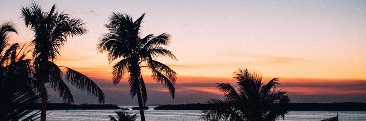 nadabaraghet's profile banner image