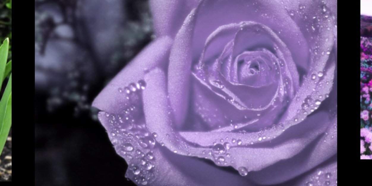 OhSoGorgeousOne's profile banner image