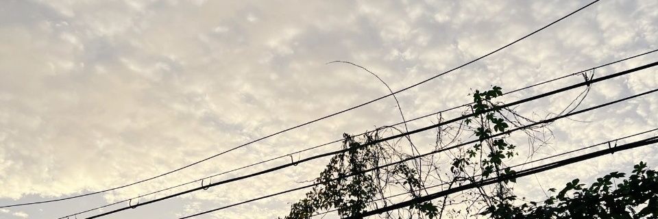 CHINposole's profile banner image