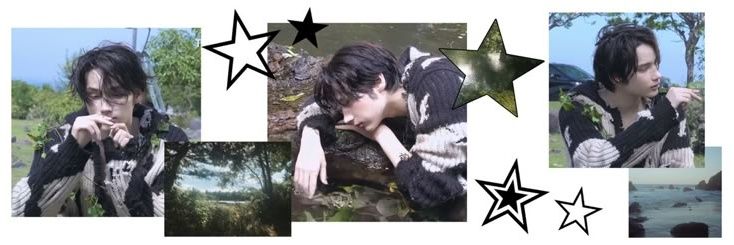 🦢 banner