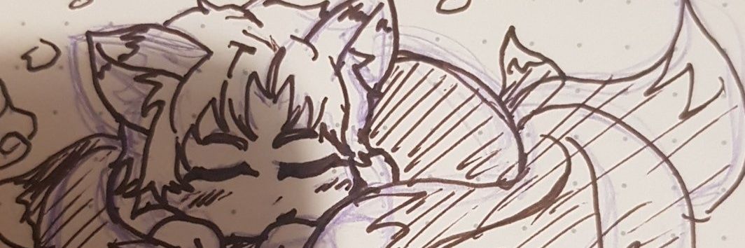 outofturtle's profile banner image