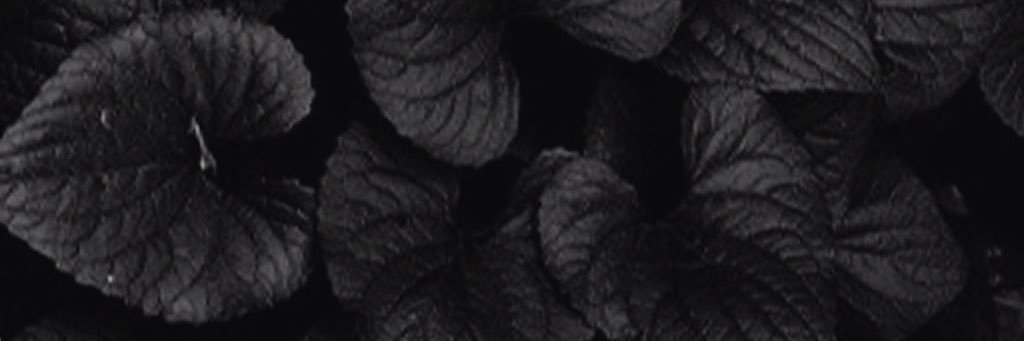 almannajar's profile banner image