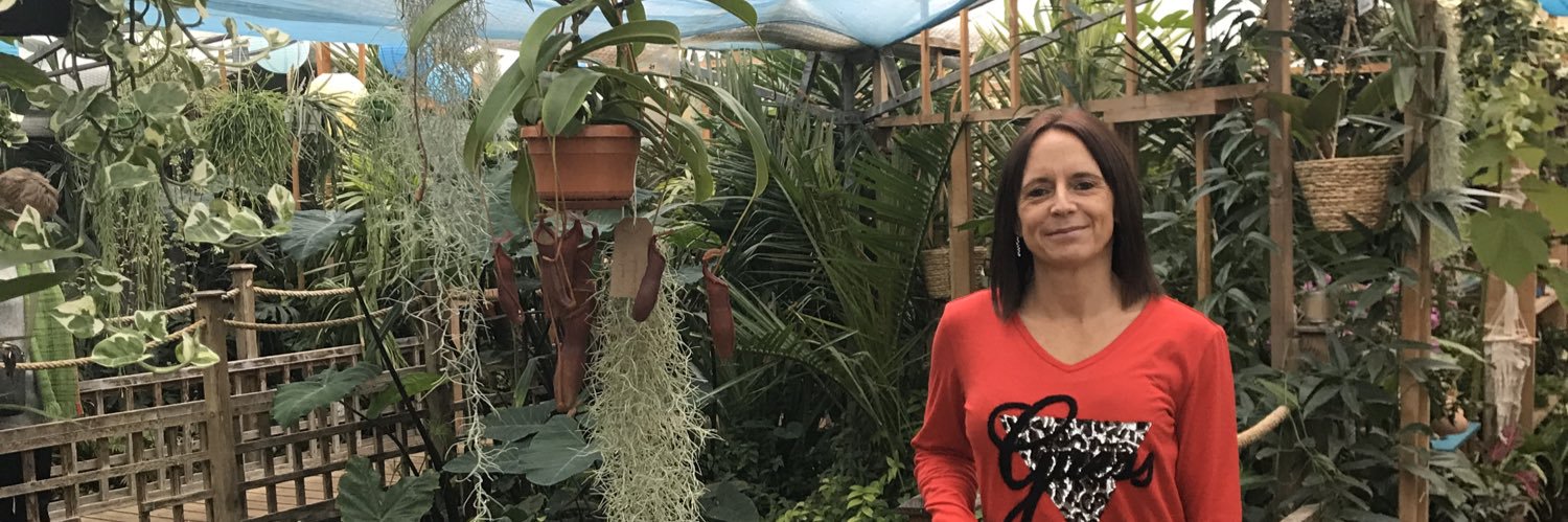 RowlandAlison's profile banner image