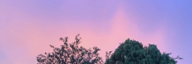 alaina415's profile banner image