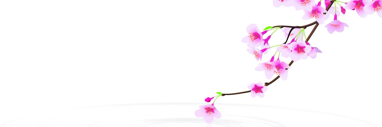 HadaLaboTokyoLA's profile banner image