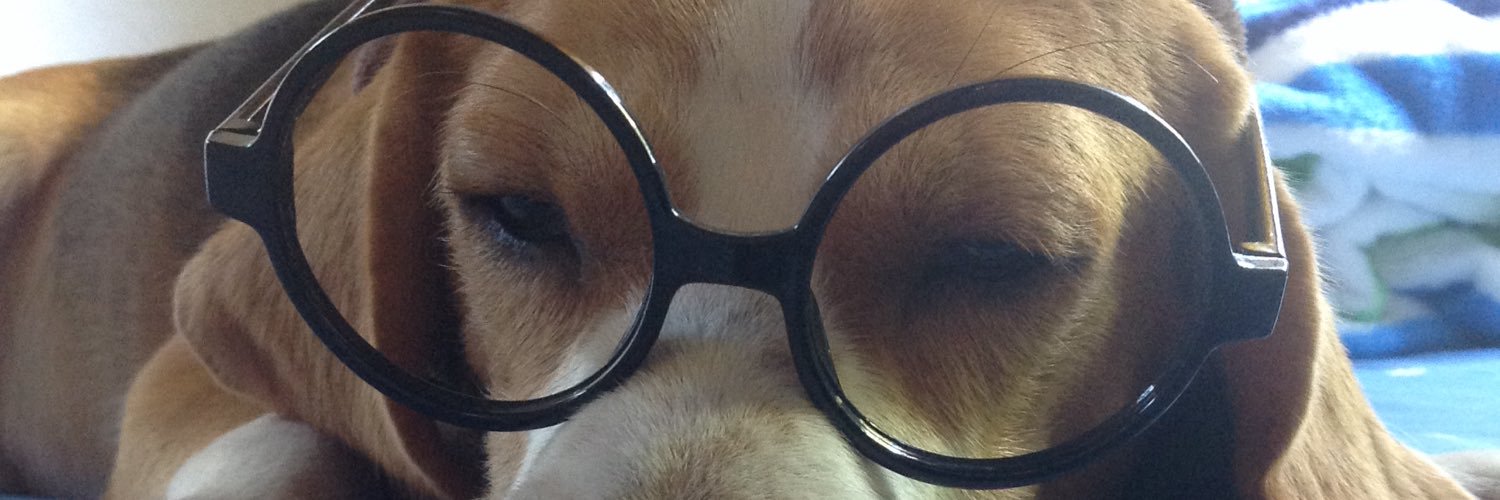 iamglamy's profile banner image