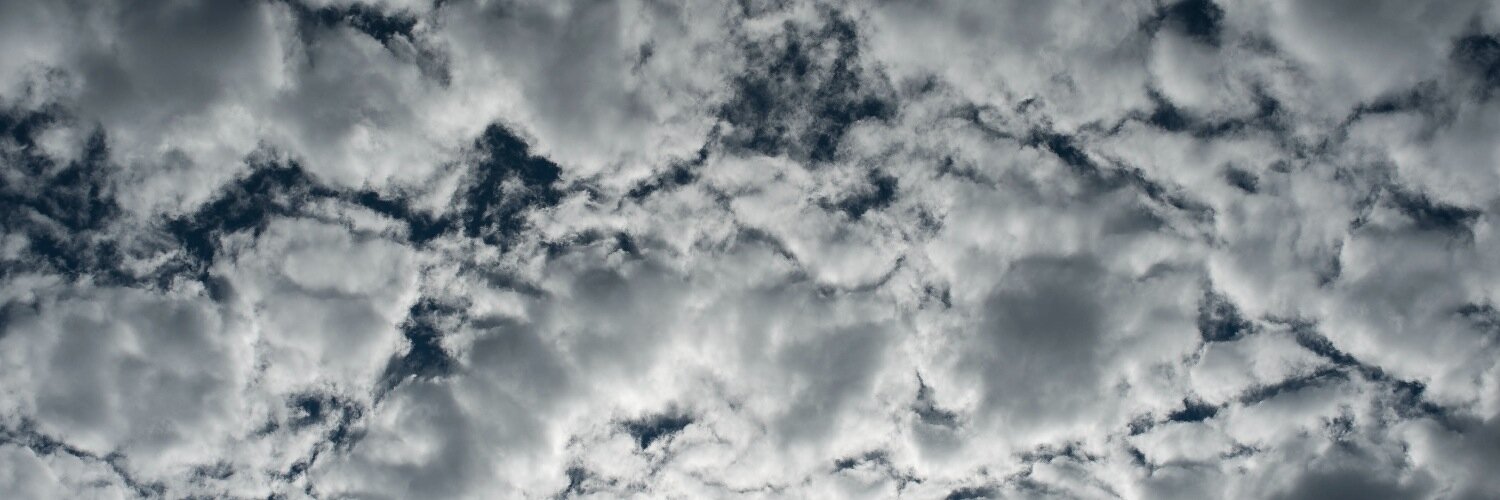 jennyswanson's profile banner image