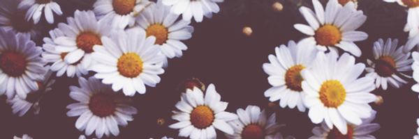 fferreirajulia Profile Banner